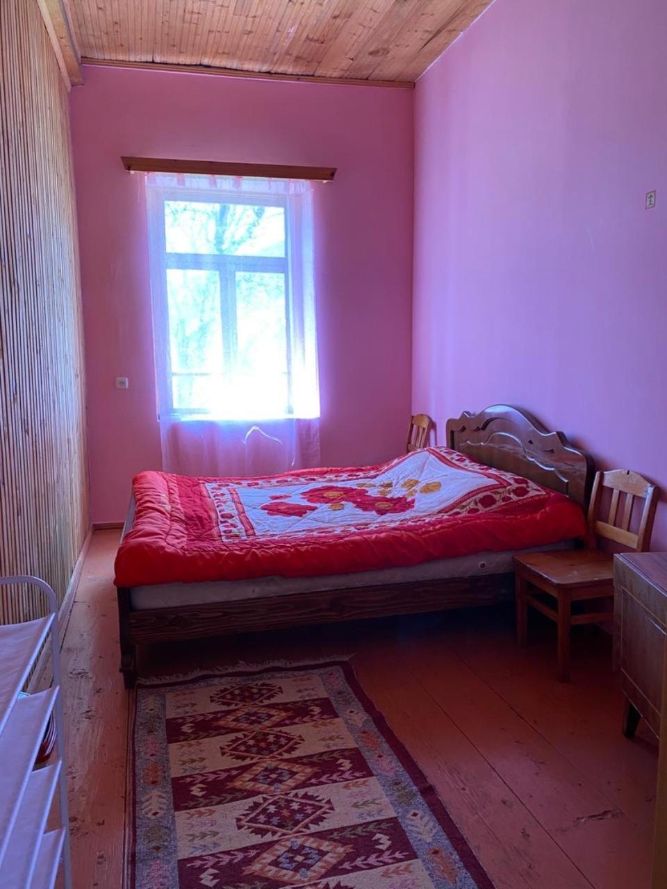Lia Jamdeliani Guest House Bagvdanari Buitenkant foto