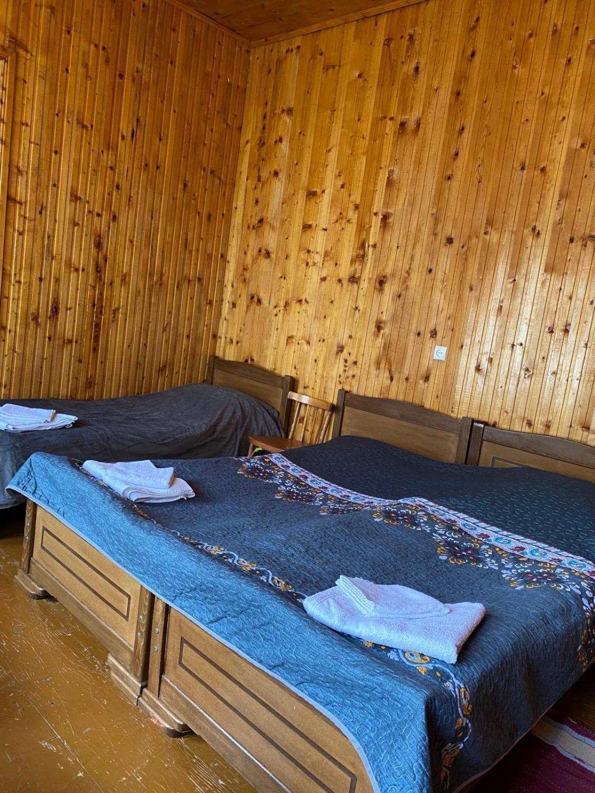 Lia Jamdeliani Guest House Bagvdanari Buitenkant foto